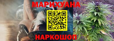 крисы Будённовск