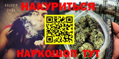 крисы Будённовск