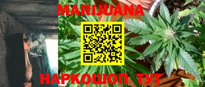 крисы Будённовск